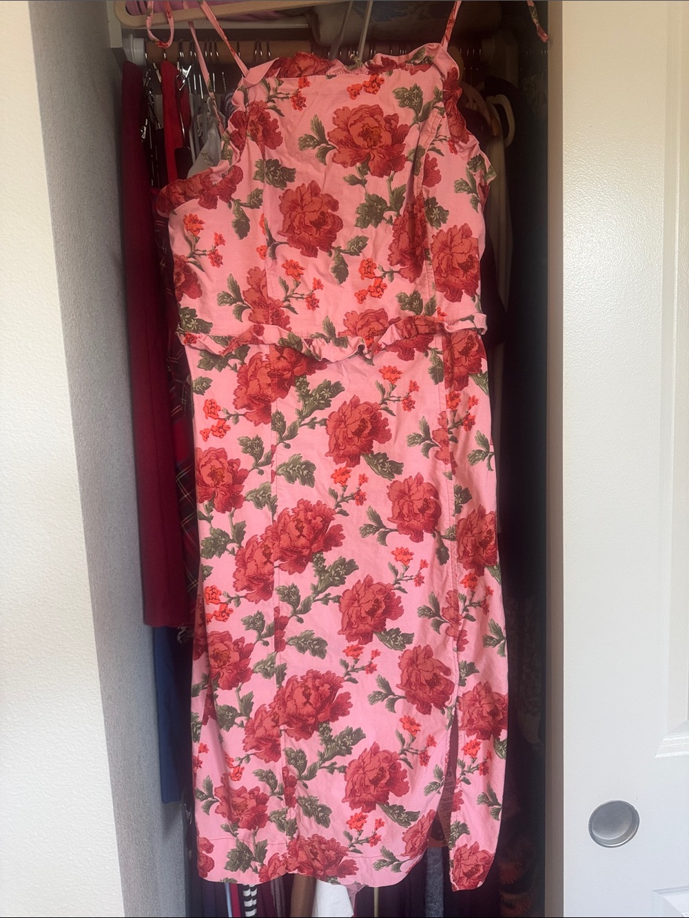 Anthropologie Pink Dress with Red Rose Print MP
